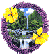 Aloha Maui Cottages-logo